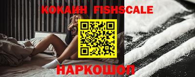 индика Сланцы