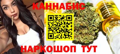 индика Сланцы