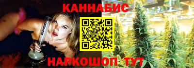 индика Сланцы