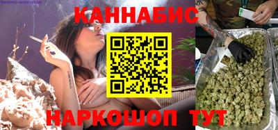 индика Сланцы