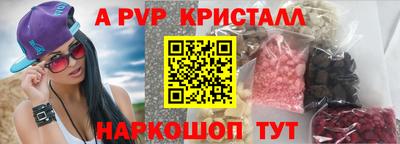 индика Сланцы