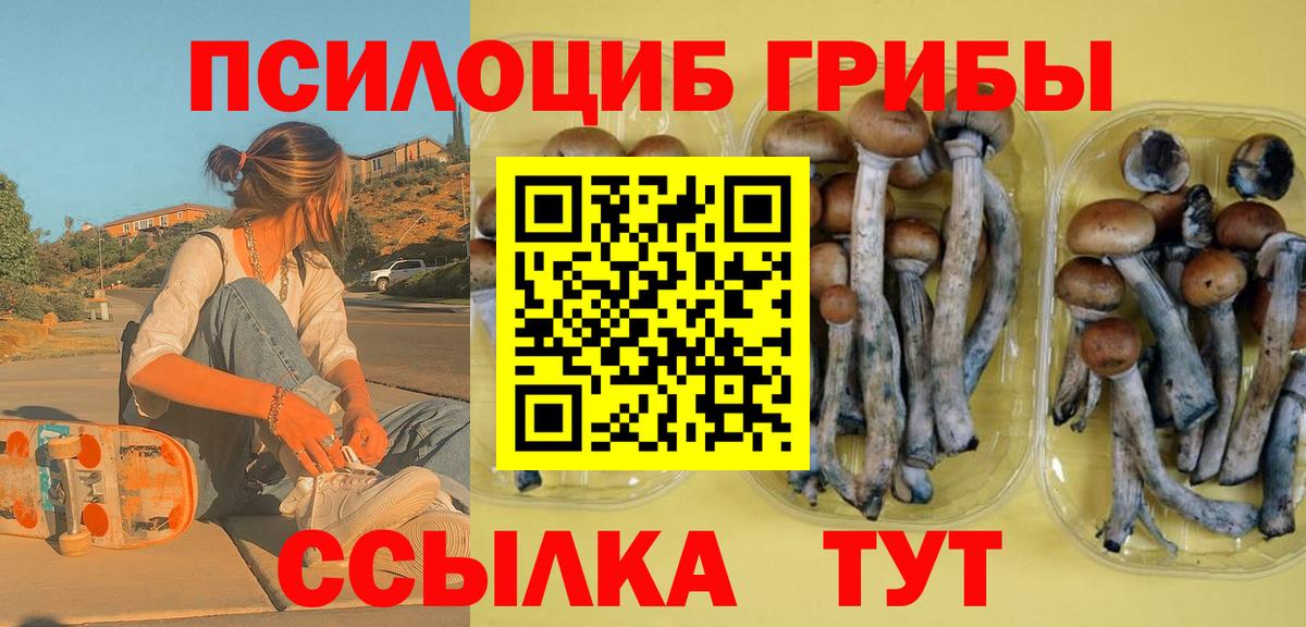 Галлюциногенные грибы MAGIC MUSHROOMS Полысаево